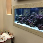 Dental Office, Family Smile Center, Dr. Lee, Dentist, Office Tour